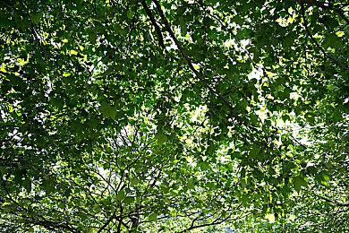 《暗邪西部》“灼热者”介绍影片 11月22日发售