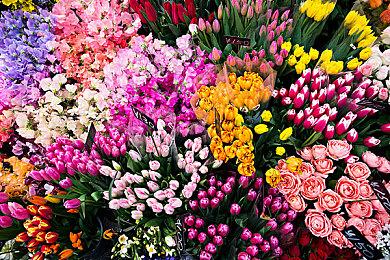 卡普空更新游戏白金销量榜 《怪物猎人：崛起》1270万套